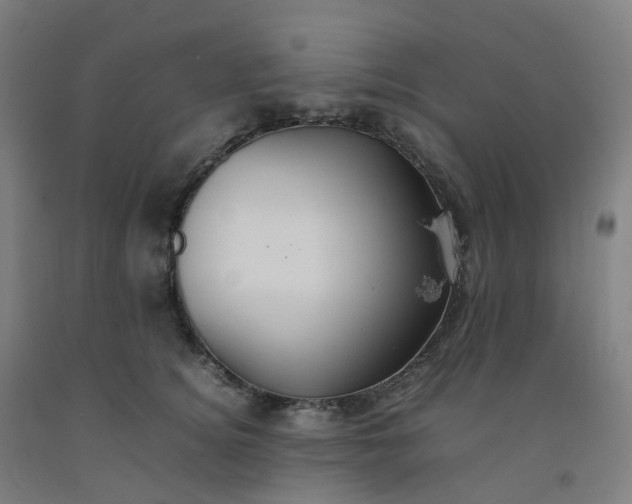 X0000092250756200709281143