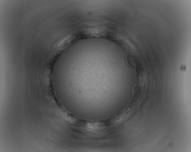 X0000092250757200709281143