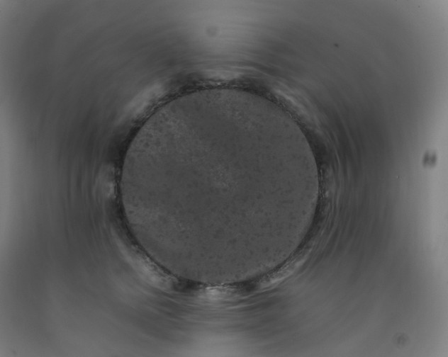 X0000092250758200709281144