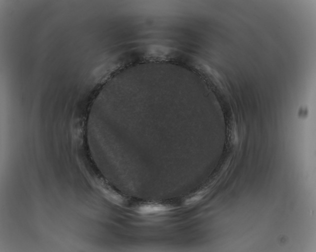 X0000092250759200709281144