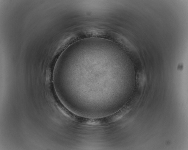 X0000092250760200709281144