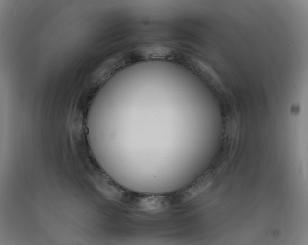 X0000092250761200709281144