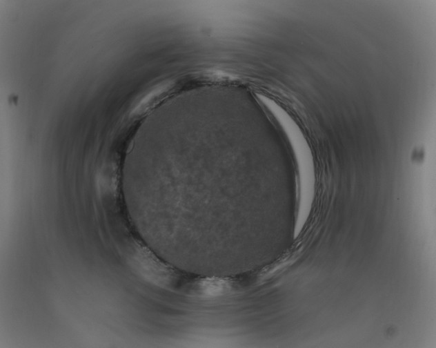 X0000092250762200709281144