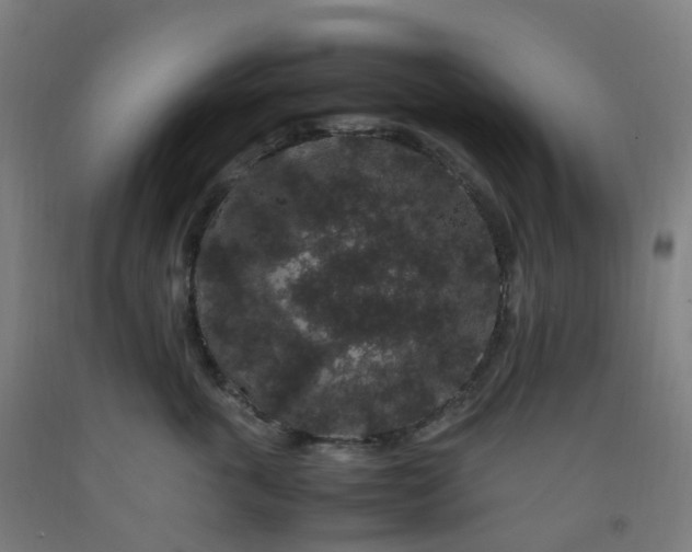 X0000092250763200709281144