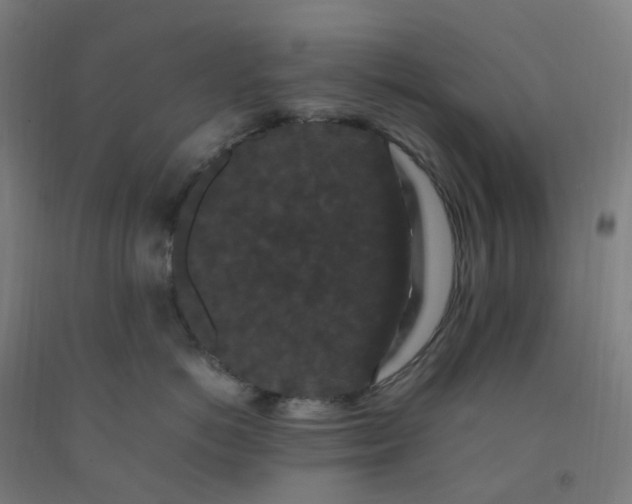 X0000092250766200709281144