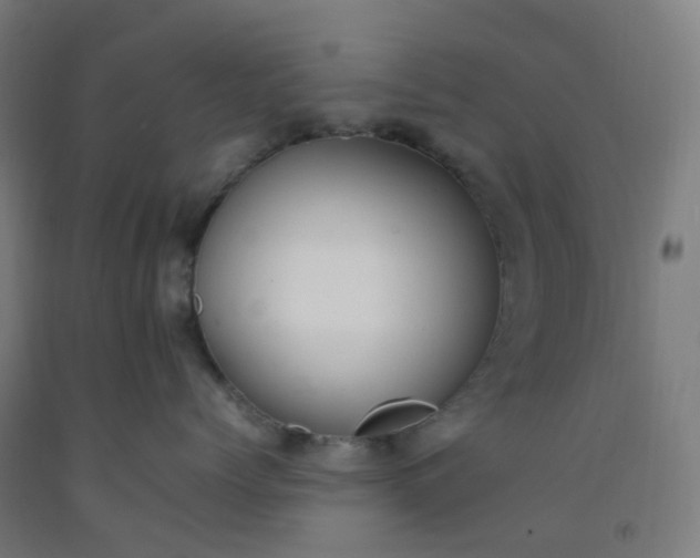 X0000092250768200709281144