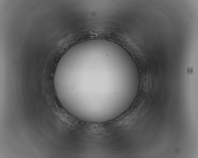 X0000092250770200709281143