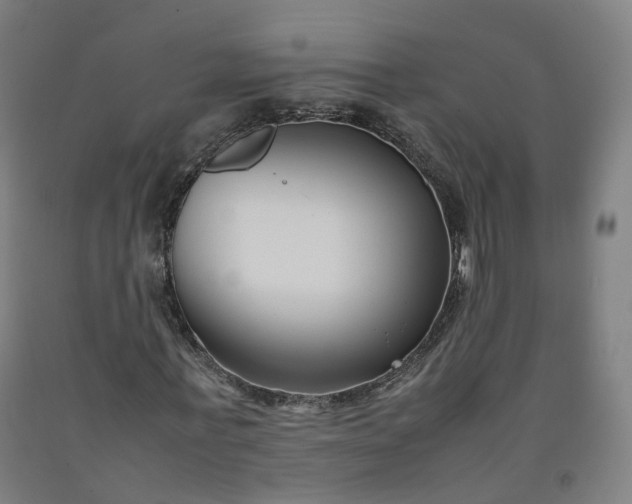 X0000092250771200709281143