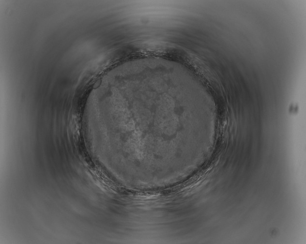 X0000092250772200709281143