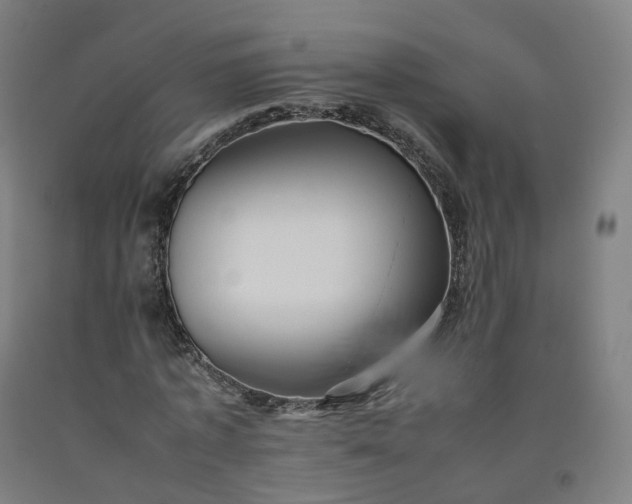 X0000092250773200709281143