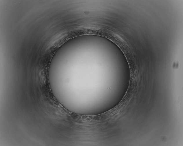 X0000092250774200709281143