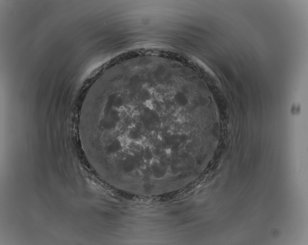 X0000092250775200709281143