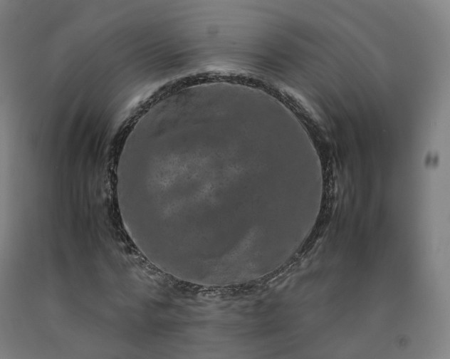 X0000092250776200709281143