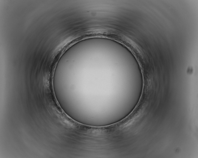 X0000092250778200709281143