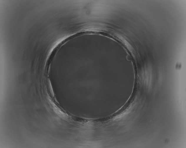 X0000092250779200709281143