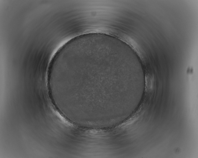 X0000092250780200709281143