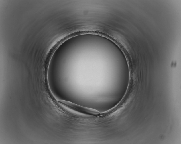 X0000092250781200709281143