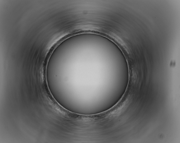 X0000092250782200709281143