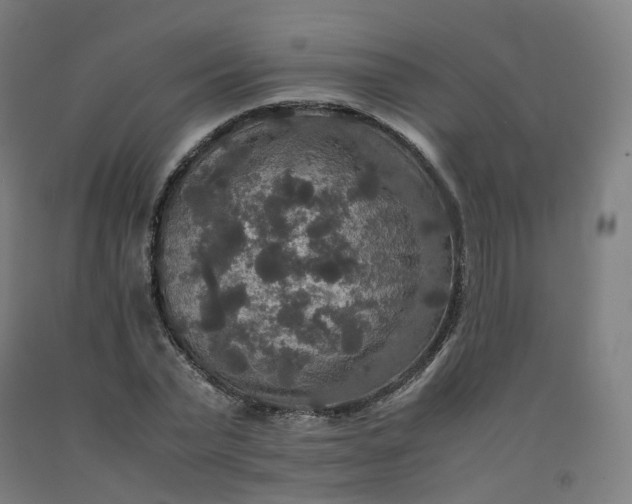 X0000092250783200709281143