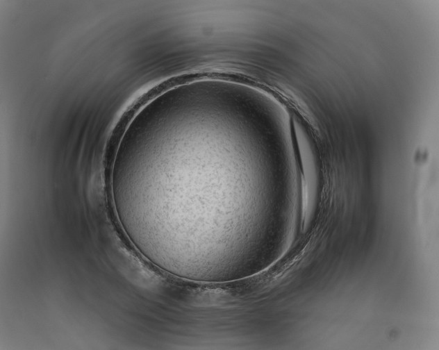 X0000092250784200709281143