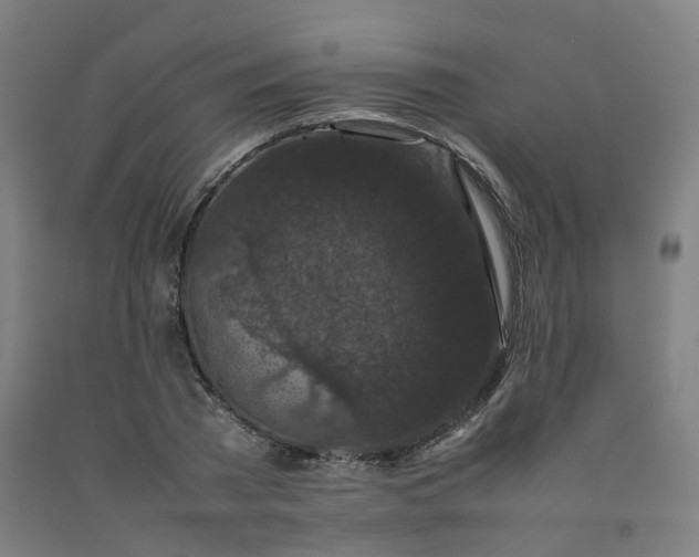 X0000092250785200709281143