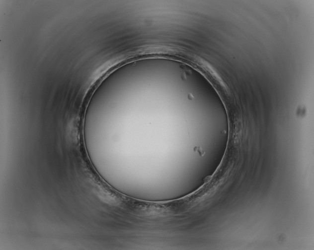 X0000092250786200709281143