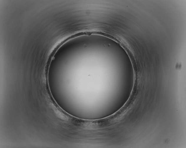 X0000092250789200709281143