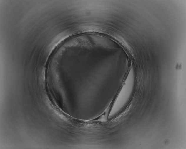 X0000092250790200709281143