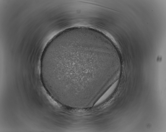 X0000092250791200709281143