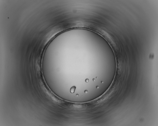 X0000092250794200709281143