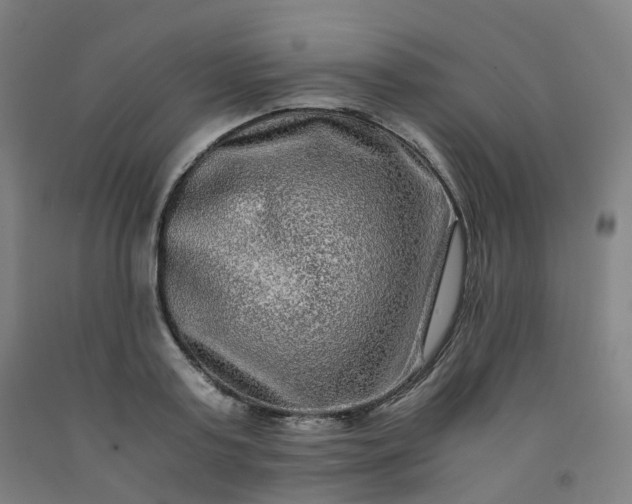 X0000092250795200709281143