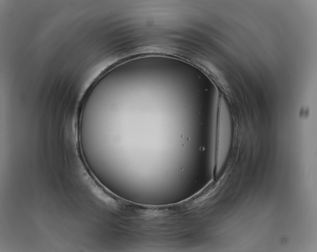 X0000092250796200709281143