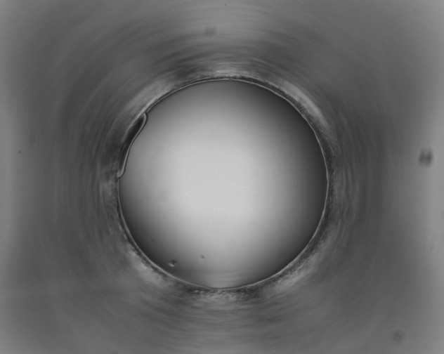 X0000092250801200709281143