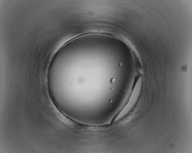 X0000092250803200709281143