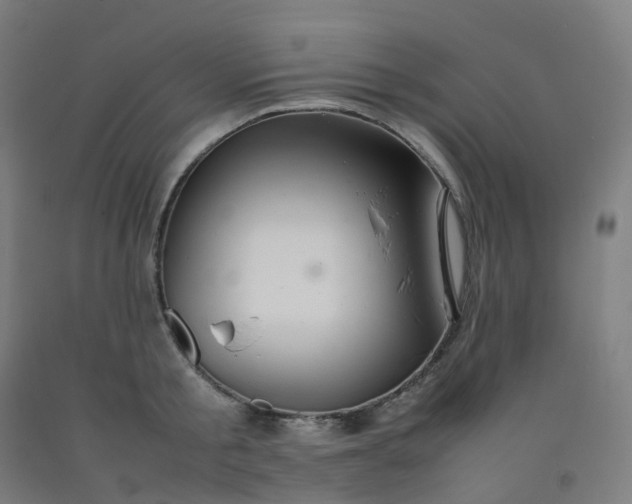 X0000092250805200709281143