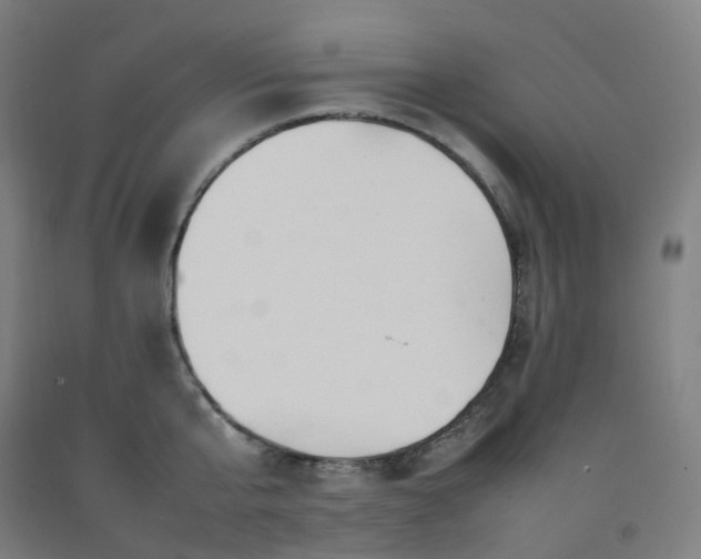 X0000092250807200709281143