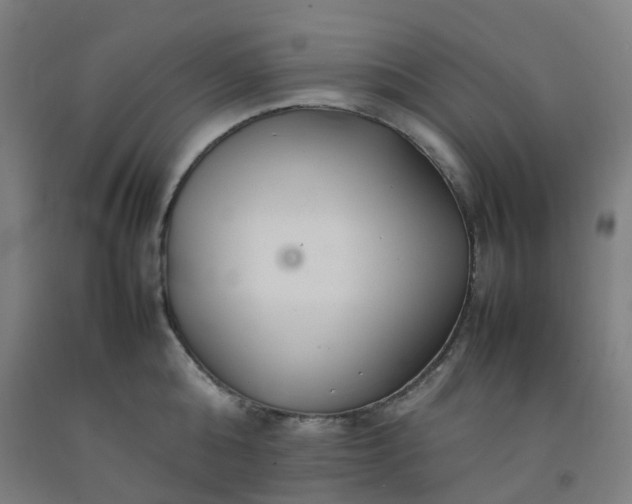 X0000092250808200709281143