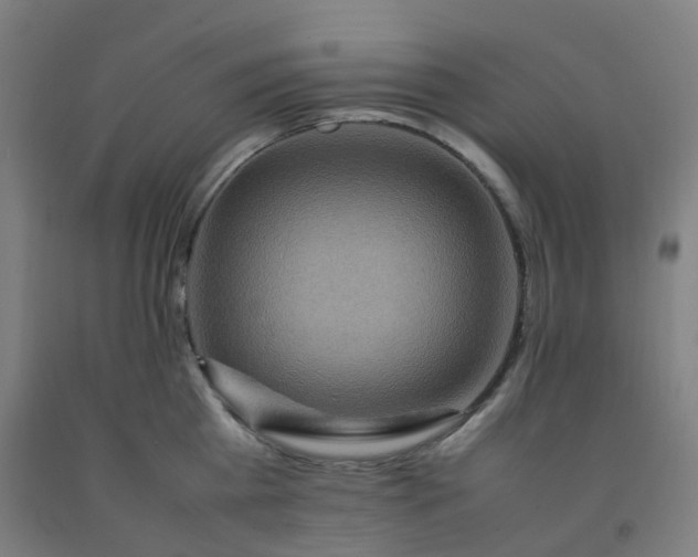 X0000092250809200709281143