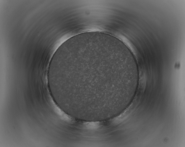 X0000092250810200709281143