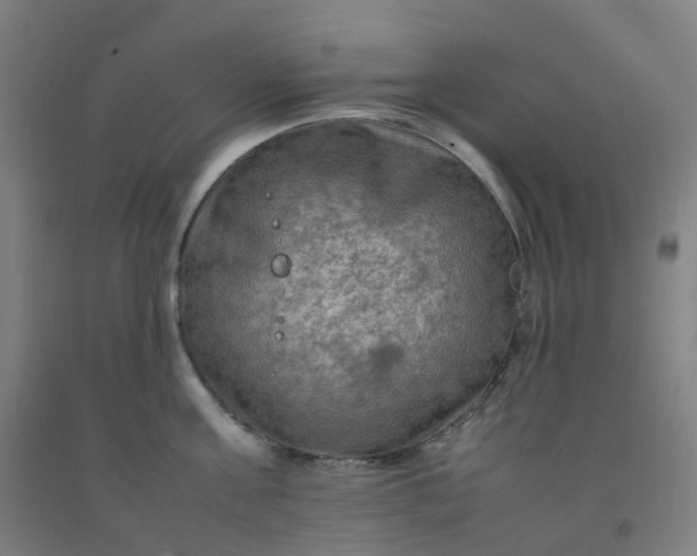 X0000092250811200709281143