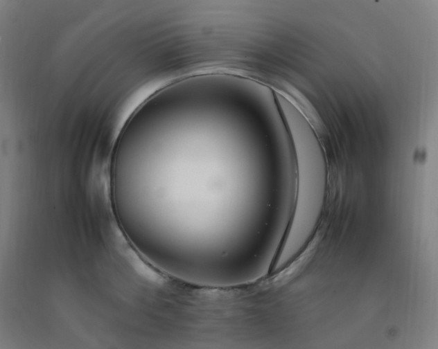 X0000092250812200709281142