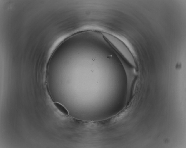 X0000092250815200709281142