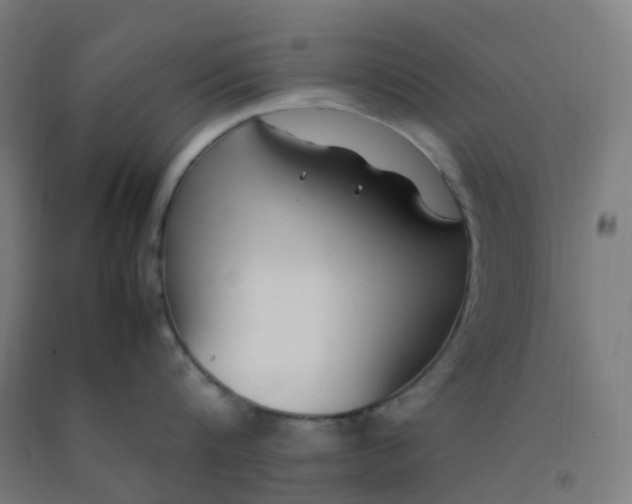 X0000092250816200709281142