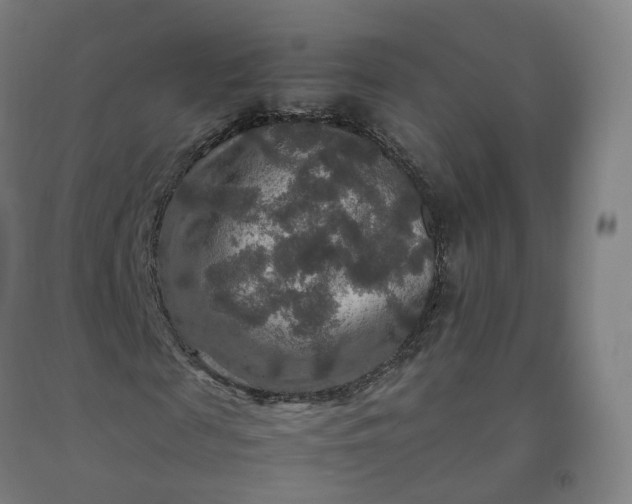 X0000092250817200709281142