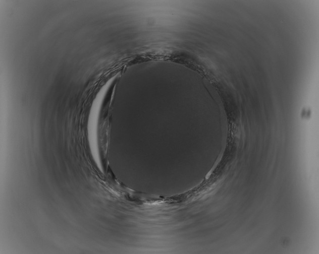 X0000092250818200709281142