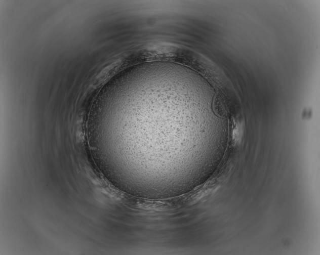 X0000092250819200709281142