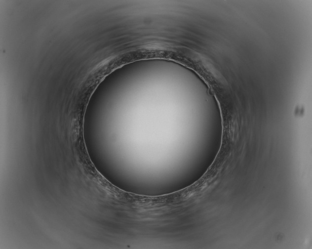 X0000092250821200709281142