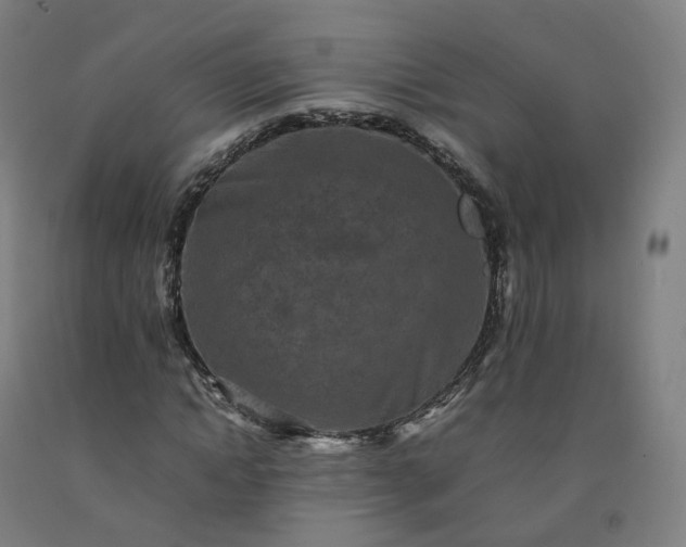 X0000092250822200709281142