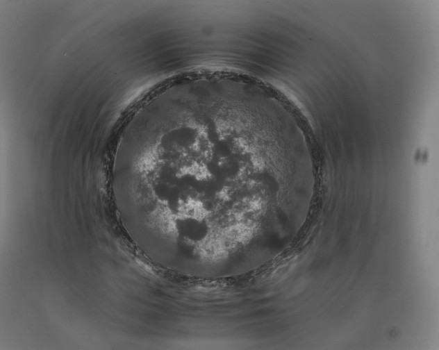 X0000092250823200709281142