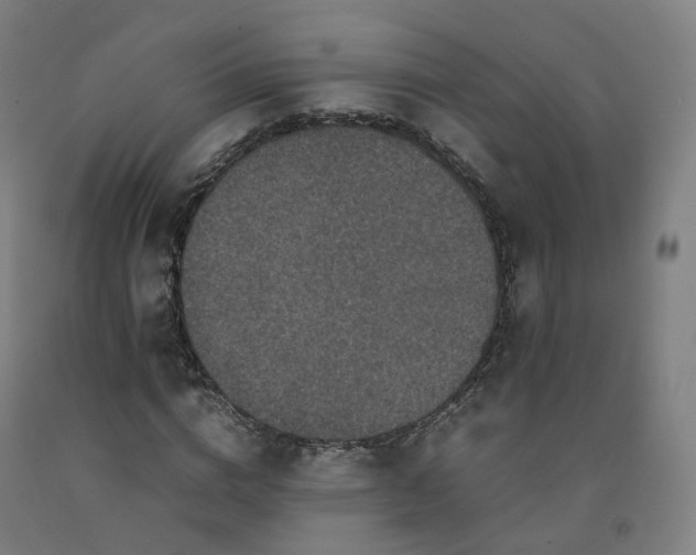 X0000092250824200709281142